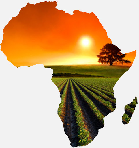 Africa centro-occidentale: campi coltivati e tramonto